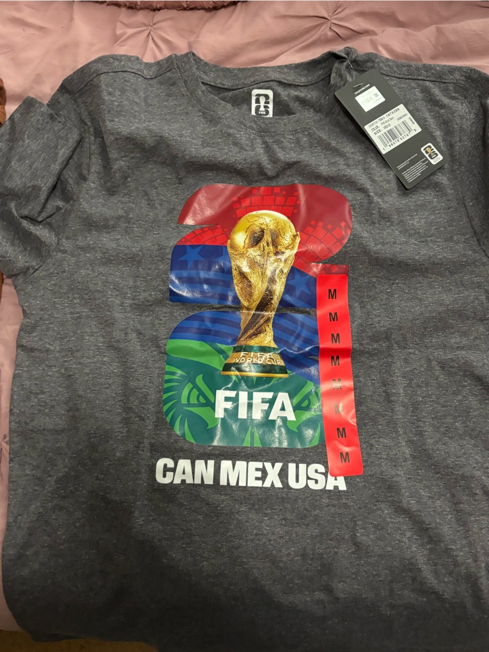 FIFA World Cup Graphic Tee - Gray
